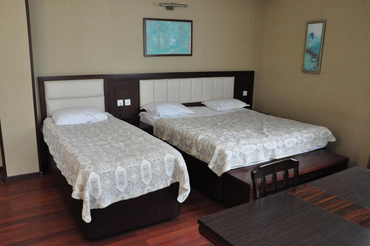 Masallı Vilesh Palace Hotel מראה חיצוני תמונה
