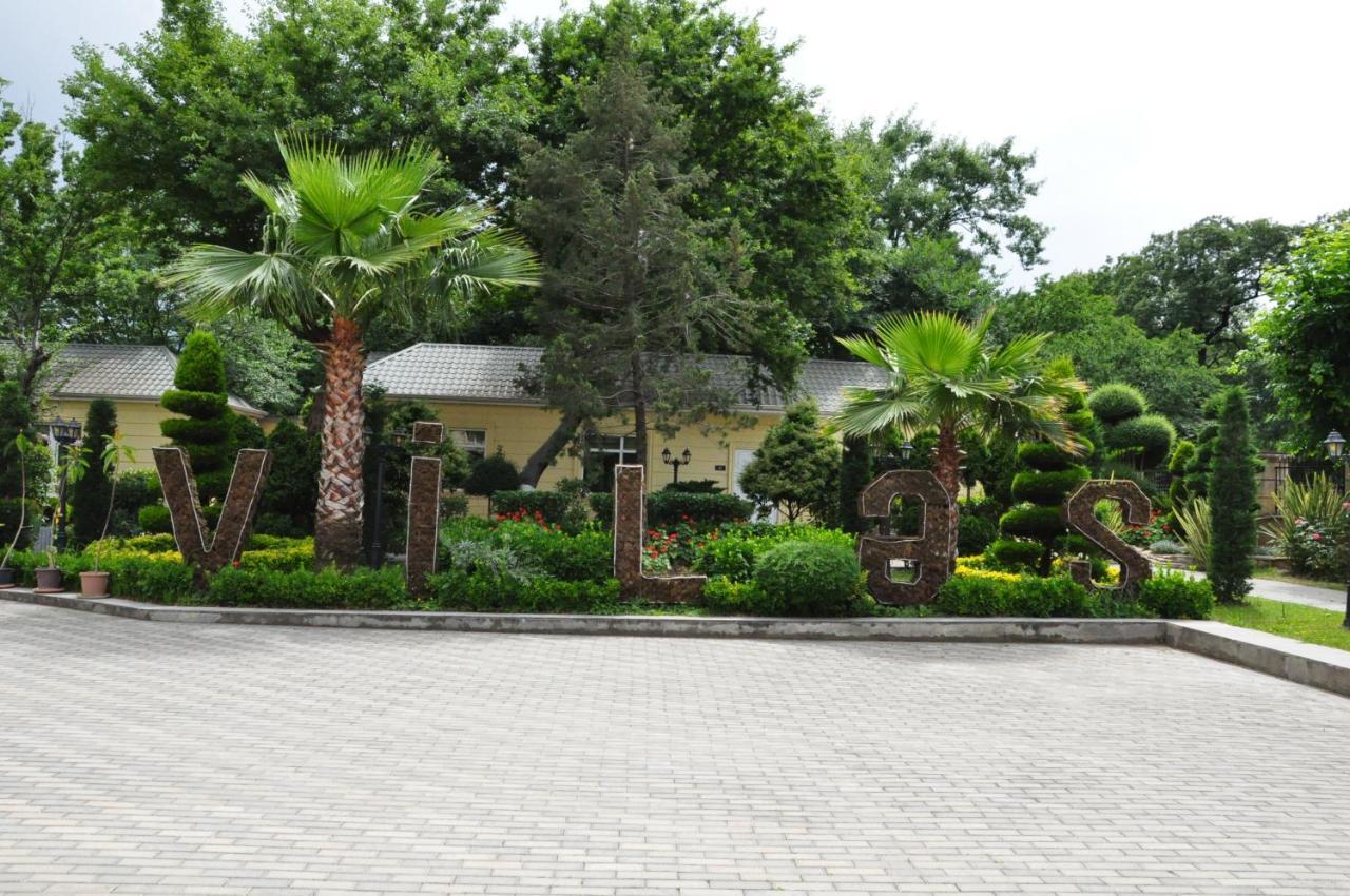Masallı Vilesh Palace Hotel מראה חיצוני תמונה