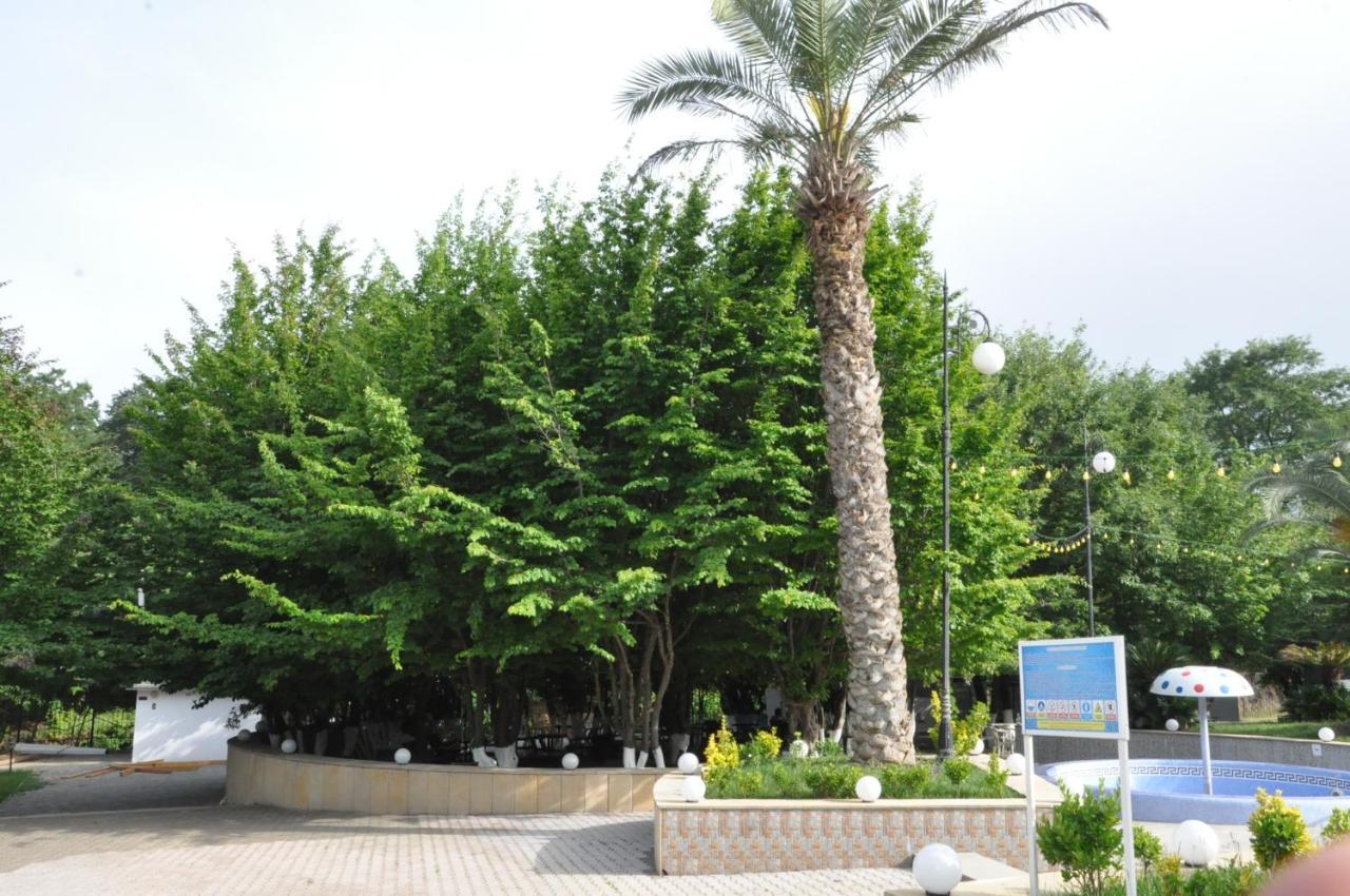 Masallı Vilesh Palace Hotel מראה חיצוני תמונה