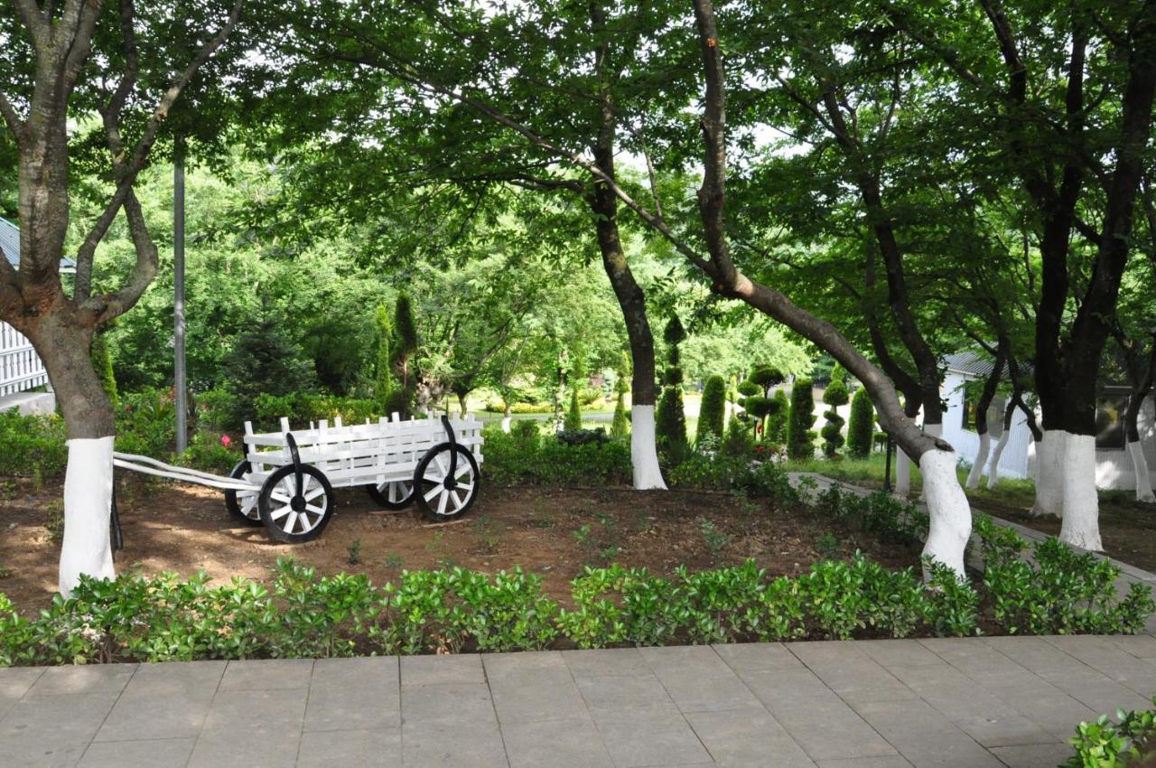 Masallı Vilesh Palace Hotel מראה חיצוני תמונה