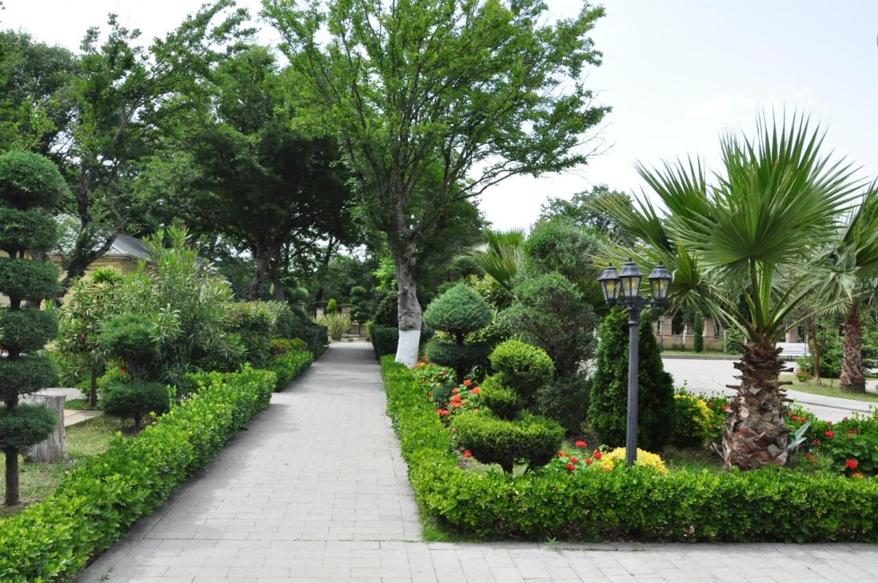 Masallı Vilesh Palace Hotel מראה חיצוני תמונה